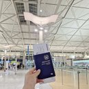(주)이클릭엔터테인먼트 | 핀에어 프리미엄 이코노미 후기 기내식 좌석 비교 경유 투어