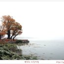 ▣ 유인현님 작품:- 백야의 사진여행/ 10월의 [두물머리] 아침풍경 이미지
