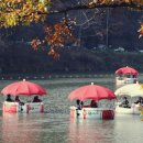 힐링카페 이미지