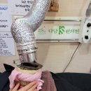 장한의원 이미지