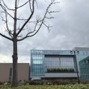 우아하게 돈쓰는날 | w1-3. 울산 jw컨벤션센터 루미에르홀 프리뷰데이 초대전 후기 / 루미에르홀 실물 후기