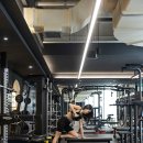 더짐 피트니스 이미지