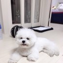 까사벨르 강동점