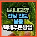 진도 무릉도원 | KBS 6시 내고향 전남 진도 봄동 판매처 조은세상영농조합법인(진도무릉도원) 택배주문방법