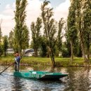 귀환농장 이미지