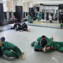 대일 합기도 체육관 이미지