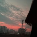 신대구막창 이미지