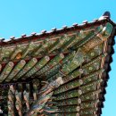 동화사 | 풀프레임 하이엔드 카메라추천 소니 RX1RM3 가족과 함께한 동화사 출사 후기