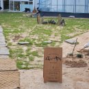 구목씨의 휴식 이미지