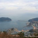 참사랑나눔동행