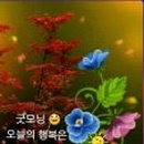 인사인 - 경산시 원효로 323 | 인사인