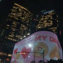 시티팜 약국 이미지