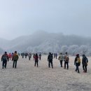 상전체련공원 Daum카페