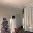 연애하는 청춘 이미지