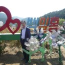 여행의 행복 이미지