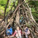 아이큰햇빛어린이집 이미지