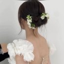 진이헤어 네이버블로그