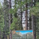 사금주유소 | 샌프란시스코 요세미티 투어 욜로투어 후기 YOSEMITE