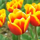 베이비시터 자격증 과정 이미지