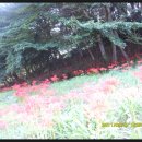 용천사입구 이미지