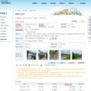 부동산 경매 입찰 절차 및 낙찰 후기