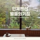 노와펜션 | 펜션 <별들의 기침> ROOM2 투숙 후기 / 인제 자작나무숲 근처 펜션 / 노키즈존 펜션 / 자발적 고립...