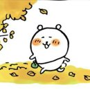 들마루펜션 이미지