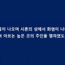 도미노 이미지