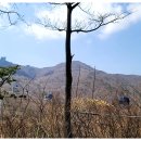 망치경로당 이미지