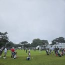 전놀부네 | KLPGA 투어 K-FOOD 놀부·화미 마스터즈 직관 현장 스케치