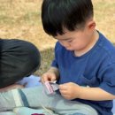 이승순 | 꿈땅 봄소풍 후기 2. <스무 번째 꿈땅, 봄소풍> 꿈땅 봄소풍은 잠시 하와이에 다녀왔다, 고 합니다.