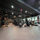 펠리스짐 이미지