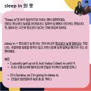 우리강아지(My Dog) 이미지