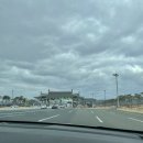 [경주 1박2일 여행코스] 황리단길선녀네 / 대릉원 / 올리브카페 / 논뚜렁밭뚜렁 / 불국사