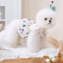 도그월드 이미지