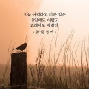 힘내 / 글이미지 이미지