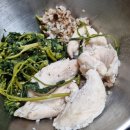 1호피티 이미지