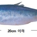 청어람로 이미지