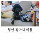 몽몽샵 이미지