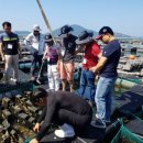 ㈜서울고속관광 이미지