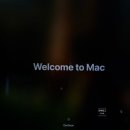 (주)엠오 | 뀐아망이 먹고 싶어서 메종엠오랑 몬탁 순례하기 🥨🥐🥖 - 맥북프로 땜에 열받은 날