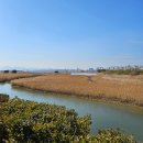 하단동1151 | 을숙도 생태공원 부산 겨울여행 가볼만한곳