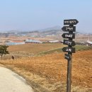 털보농원 | 고창숙소 :: 상하농원파머스빌리지/패밀리룸후기/먹보와털보숙소