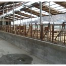 김천시어모면능치보건진료소 이미지