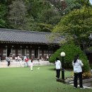 애견매니아 | 한옥카페 선운각 - 드라마 촬영지, 북한산 뷰 유명(후기, 주차, 애견동반)