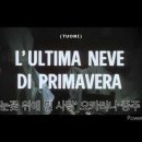 L'ultima never di primavera(영화 '눈꽃 위에 핀 사랑' ost) 중주 ((with 더오카님)) 이미지