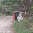 낙동칼국수 이미지