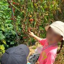 예그랑유치원 이미지