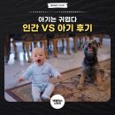 파운드에이전시 | 넷플 미스터빈과 귀여운 아기, 인간 VS 아기 후기
