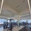 세울GYM | 상현동헬스장 <세울GYM>에서 재활PT 받은 후기!